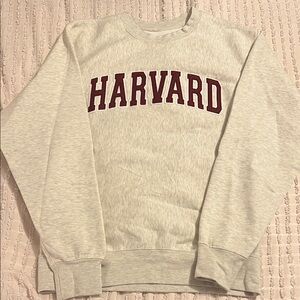 Crewneck Sweater in Gray